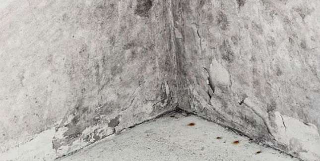 dusty musty crawlspace