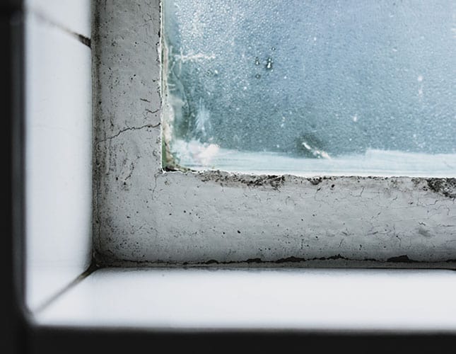 water filling window well