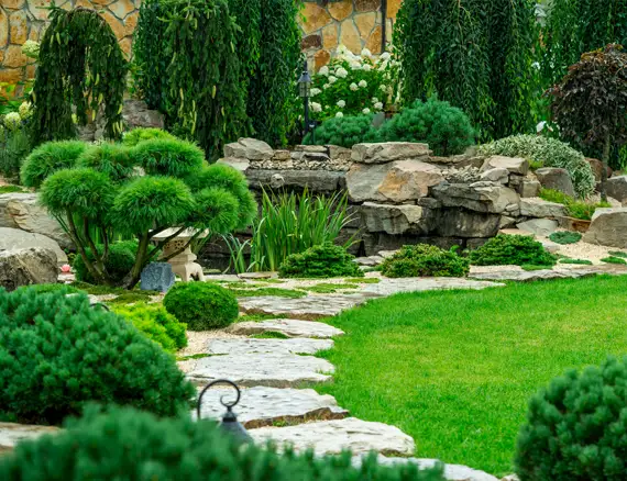 best plants and landscaping techniques suited for Rhode Islands climate