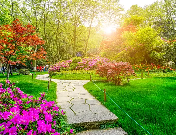 rhode island outdoor living spaces services